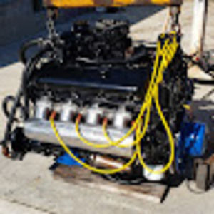 Meet your Posher, George